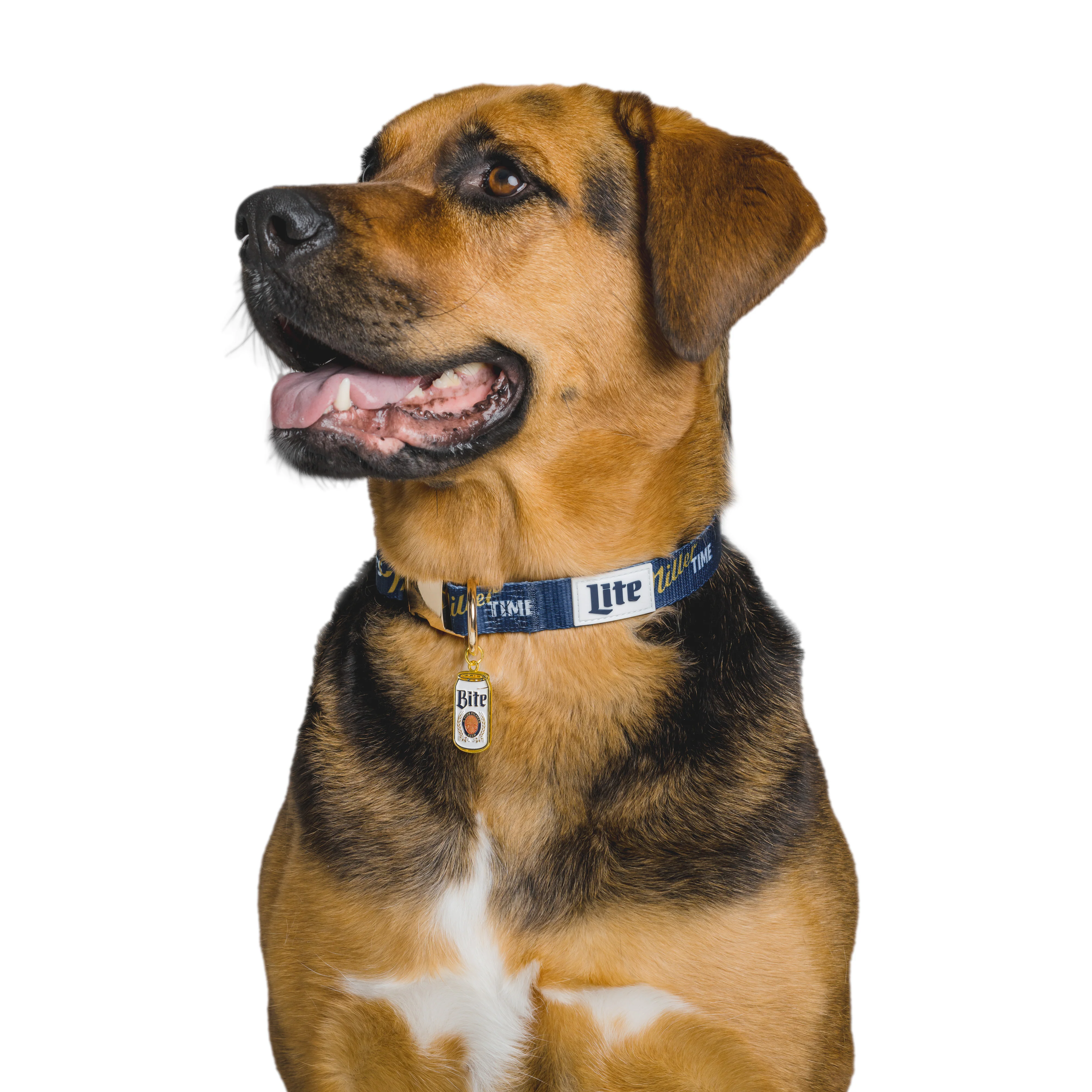 IT'S MILLER TIME PET COLLAR - Image 3