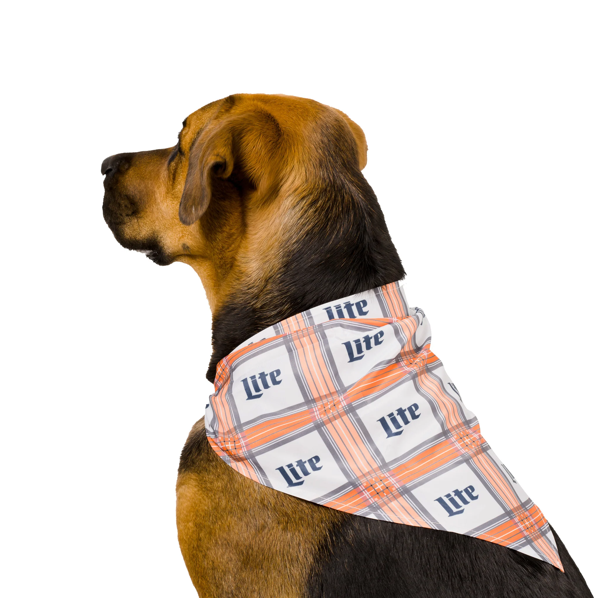 MILLER LITE PLAID DOG BANDANA - Image 4